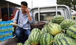 陇南武都网红吃瓜事件,网络舆论场上的风波与反思