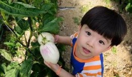 小小红娱乐吃瓜说,揭秘娱乐圈最新热点事件