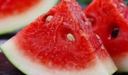 吃瓜网在哪找,吃瓜网——揭秘热门八卦资讯的聚集地