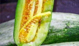 20年网红吃瓜总结,盘点年度热门事件与话题