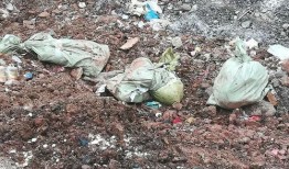 陇南武都网红吃瓜事件,网络舆论场上的风波与反思