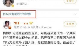 娱乐吃瓜酱4,揭秘娱乐圈背后的秘密与八卦