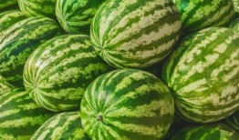 吃瓜网在哪找,吃瓜网——揭秘热门八卦资讯的聚集地