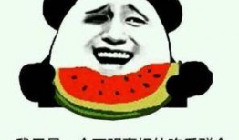 吃瓜网域名,网络舆论风向标背后的故事