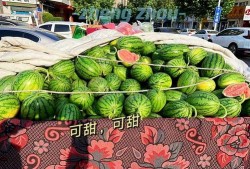 郑州吃瓜娱乐官网,揭秘城市美食与娱乐新风向