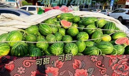 郑州吃瓜娱乐官网,揭秘城市美食与娱乐新风向