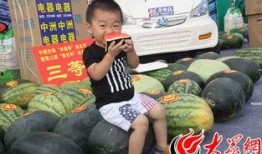 吃瓜网5,带你领略网络娱乐新风向