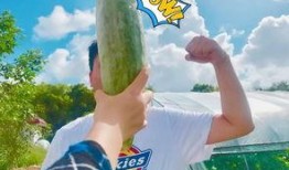 网红吃瓜 爆料,揭秘娱乐圈背后的惊人真相