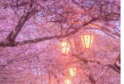 718娱乐吃瓜在线下载,揭秘热门娱乐资讯新途径