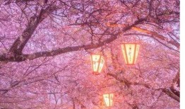 718娱乐吃瓜在线下载,揭秘热门娱乐资讯新途径