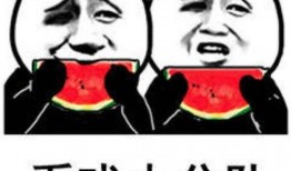 吃瓜表情啥意思是什么,网络热词背后的文化内涵