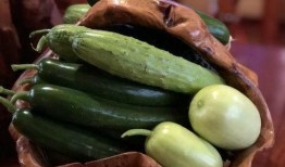 20年网红吃瓜总结,盘点年度热门事件与话题